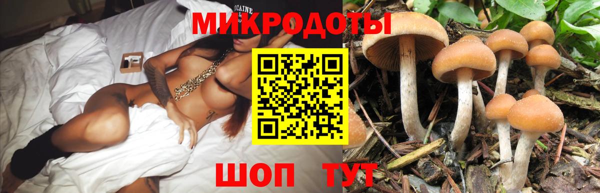 Галлюциногенные грибы MAGIC MUSHROOMS  Галлюциногенные грибы Psilocybine cubensis  Вход с VPN  Ставрополь 